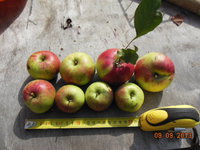 DSCN0936.JPG