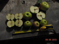 DSCN0937.JPG