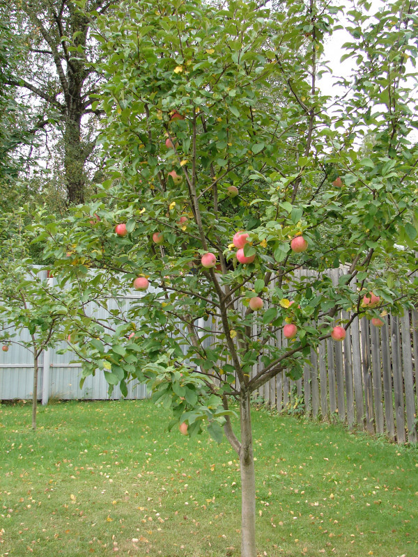 DSC02136.JPG