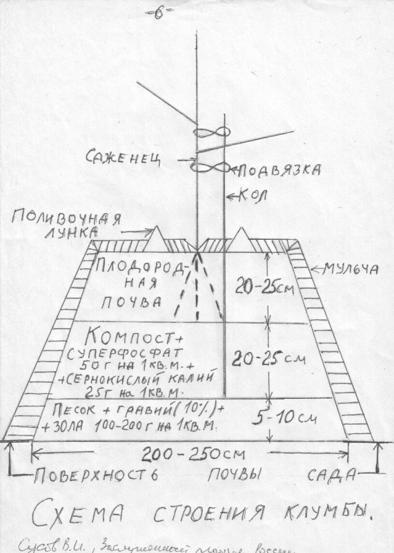 Клумба.jpg