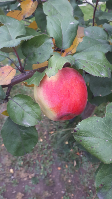 20180920_171456.jpg