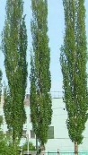2018-12-09 00.08.50.jpg