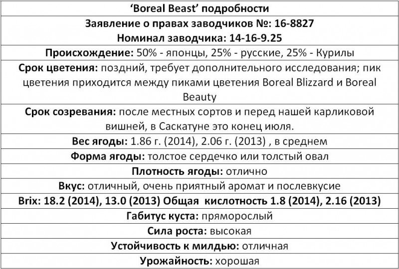 boreal beast.jpg