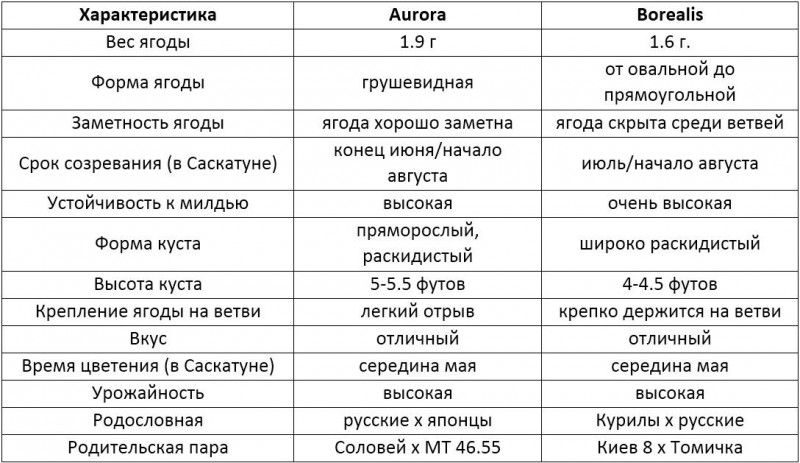 Таблица 1. Сходства и различия сортов Aurora и Borealis
