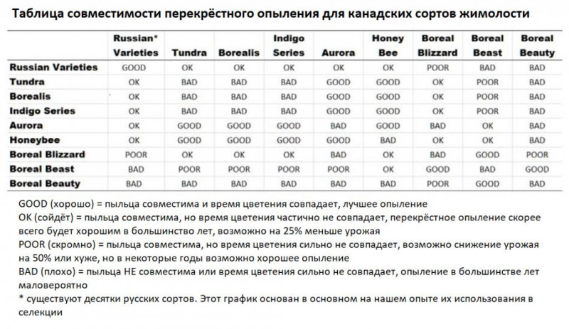 Compatibility Chart for haskap cross pollination - kanadian Varietes.jpg