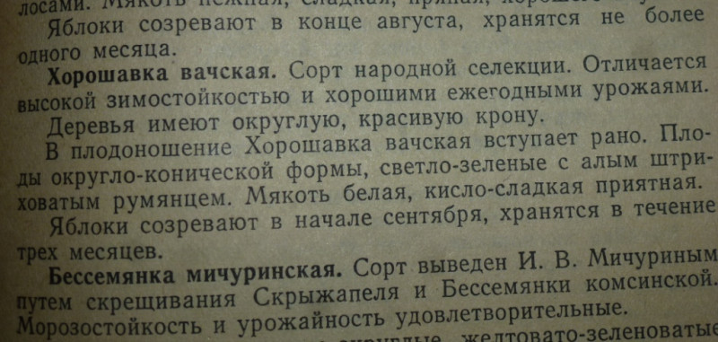 P2040290.JPG