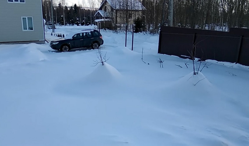 ттт.jpg