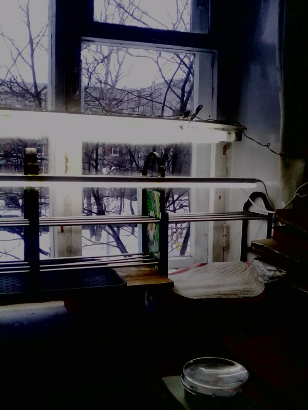 IMG0213A.jpg