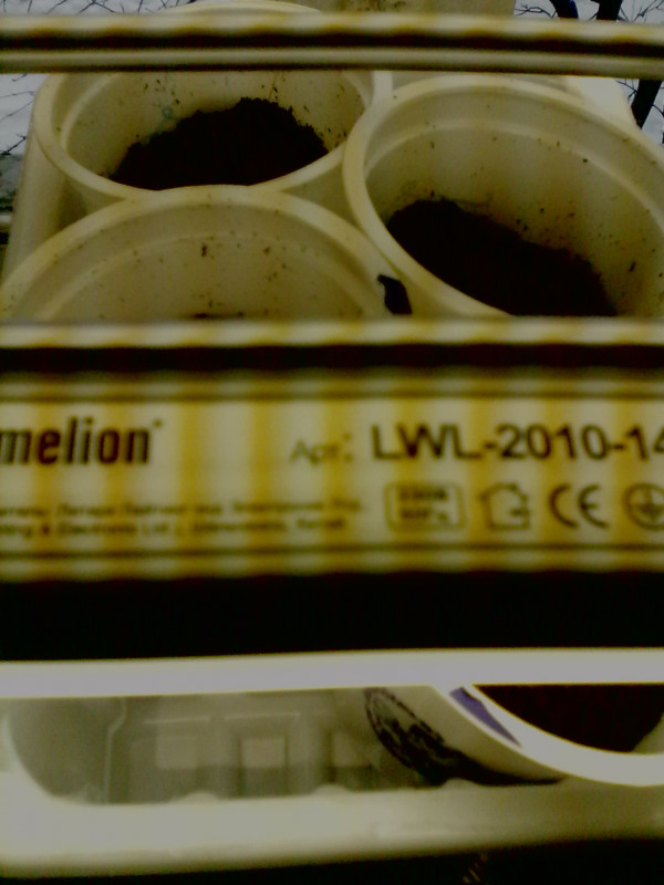 IMG0216A.jpg