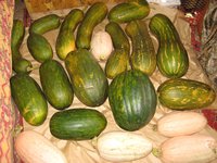 IMG_0152 (Копировать).JPG