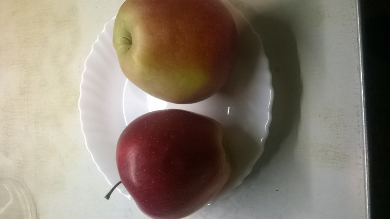 WP_20190221_005.jpg