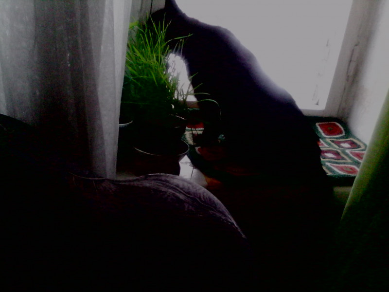 IMG0228A.jpg