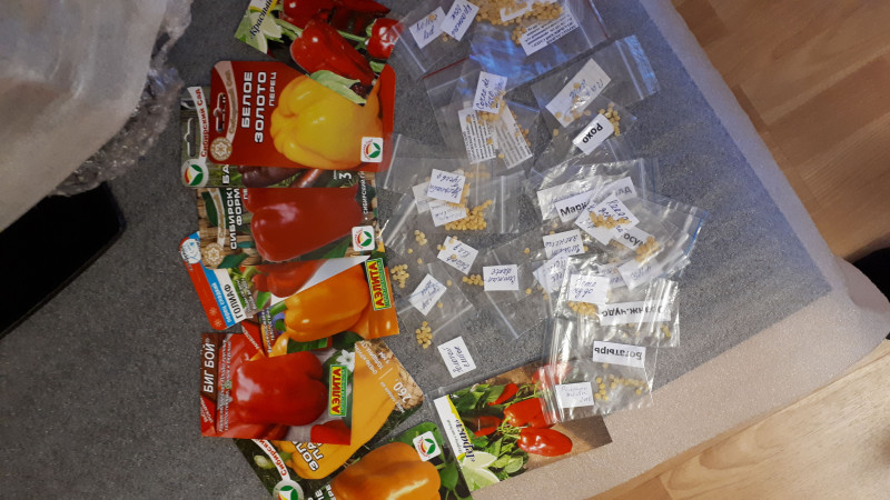 IMG-20190228-WA0092.jpeg