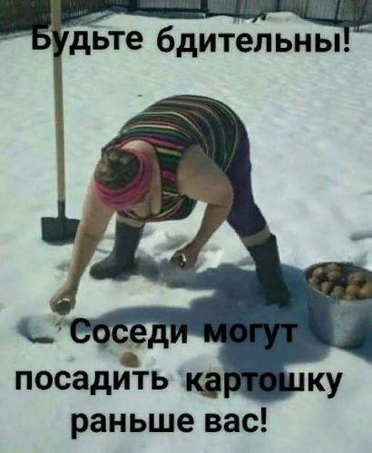 IMG-20190302-WA0007.jpg