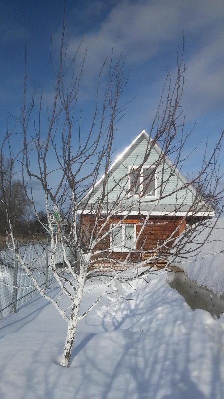 20190302_145845.jpg