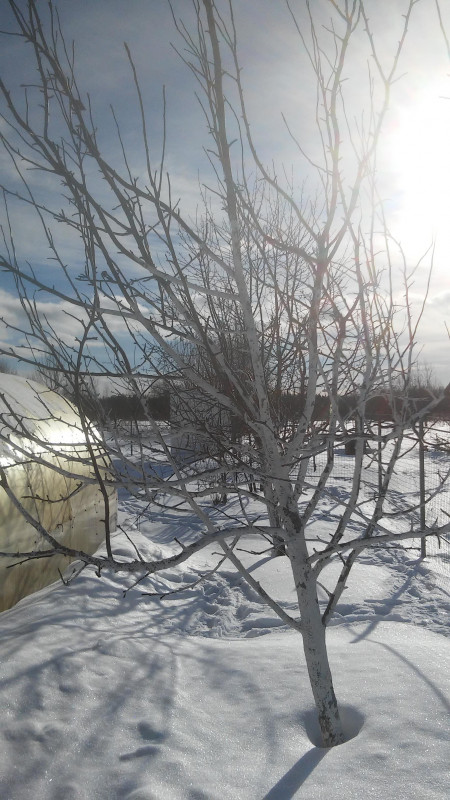 20190302_153510.jpg