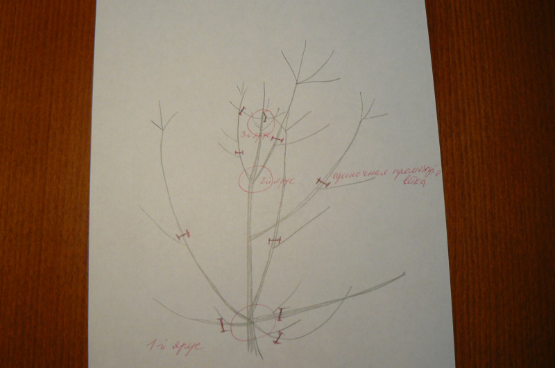 P1420280.JPG