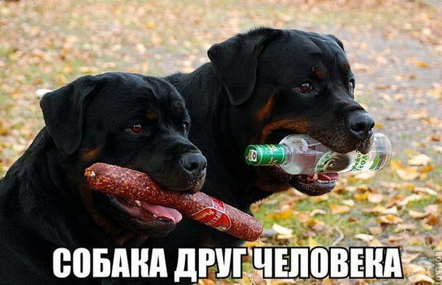 1517223266_kartinka-041.jpg
