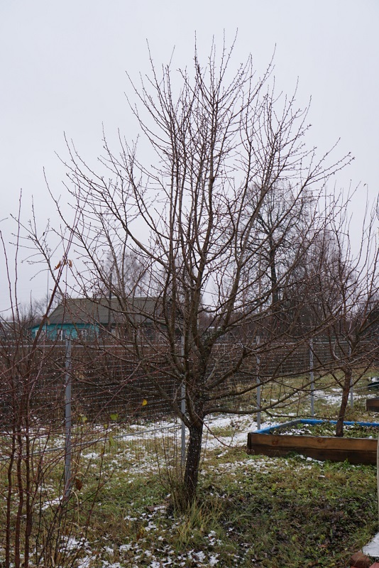 DSC05762.JPG