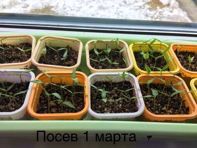 EF09C375-A165-4CE1-A445-AEDD044CDEF0.jpeg