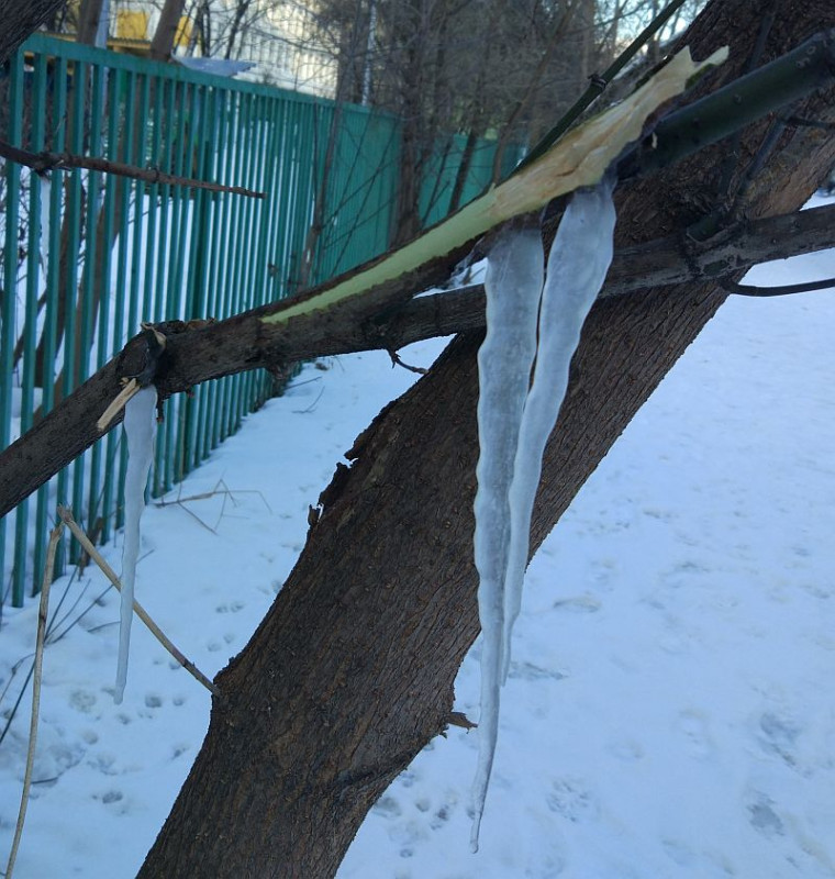 сокодвижение.jpg