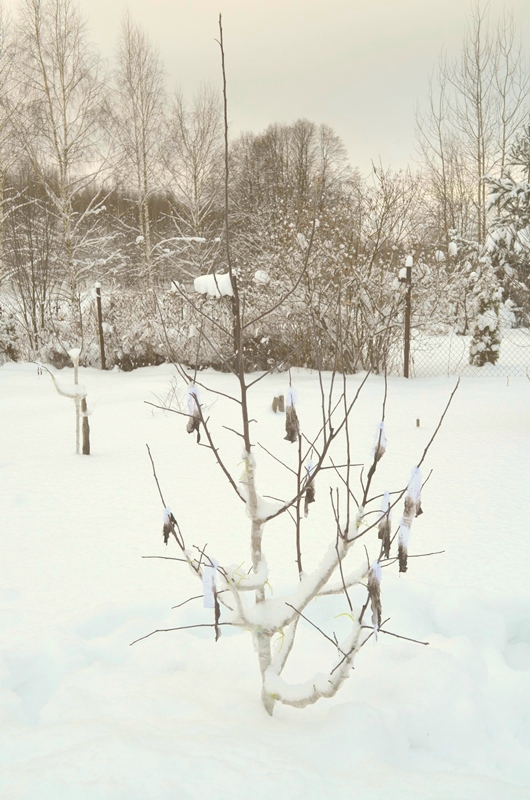 20190320_232124.jpg