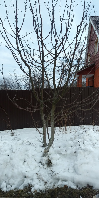 20190323_165412_HDR.jpg