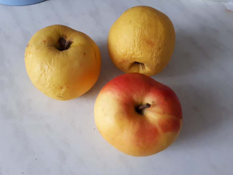 20190324_104625.jpg