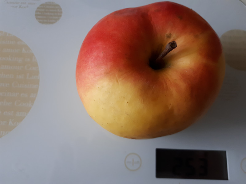 20190324_104807.jpg