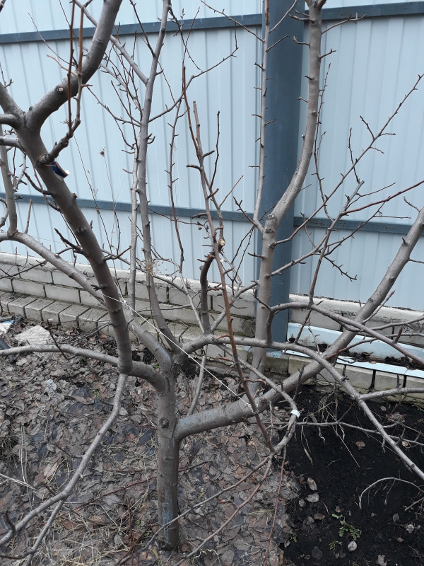 20190323_171314.jpg