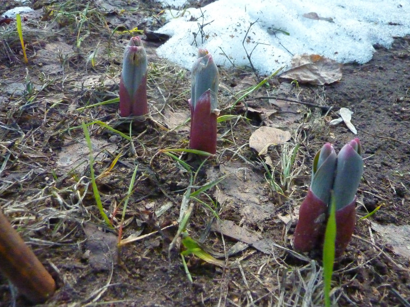 P1220195.JPG