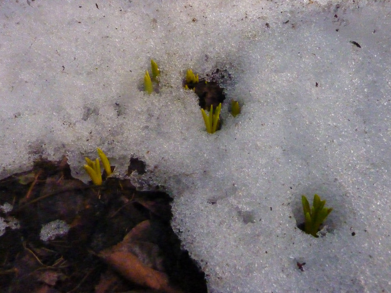 P1220197.JPG