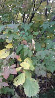 2013-09-29-825.jpg