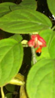 2013-09-29-824.jpg