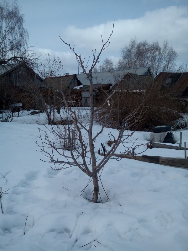 IMG_20190327_122548.jpg