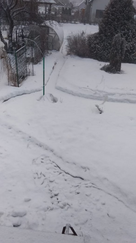 IMG-20190327-WA0025.jpg