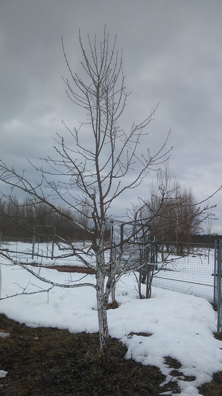 20190324_133300.jpg