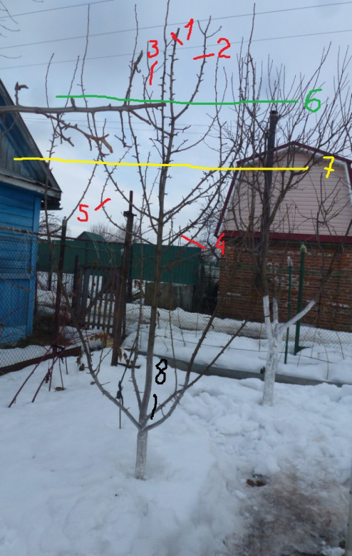 обрезка.jpg