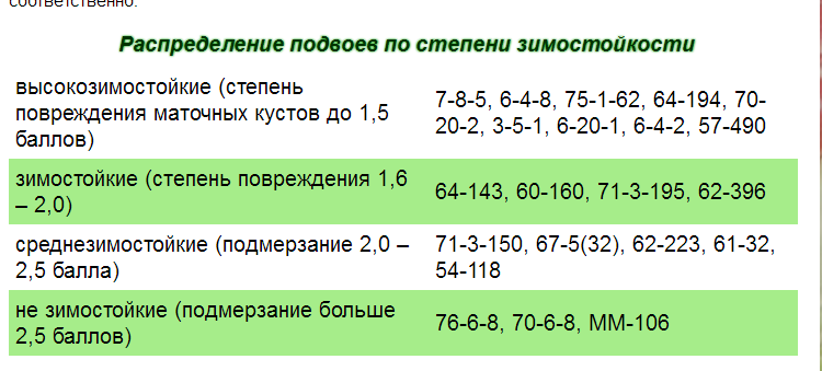 Снимок2.PNG