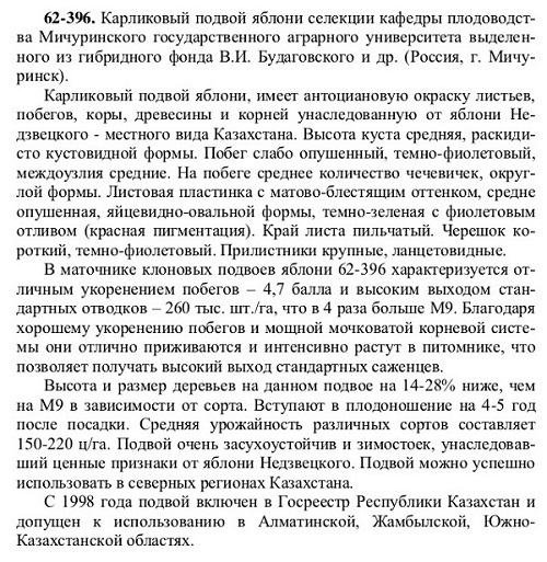 Подвой62-396.jpg