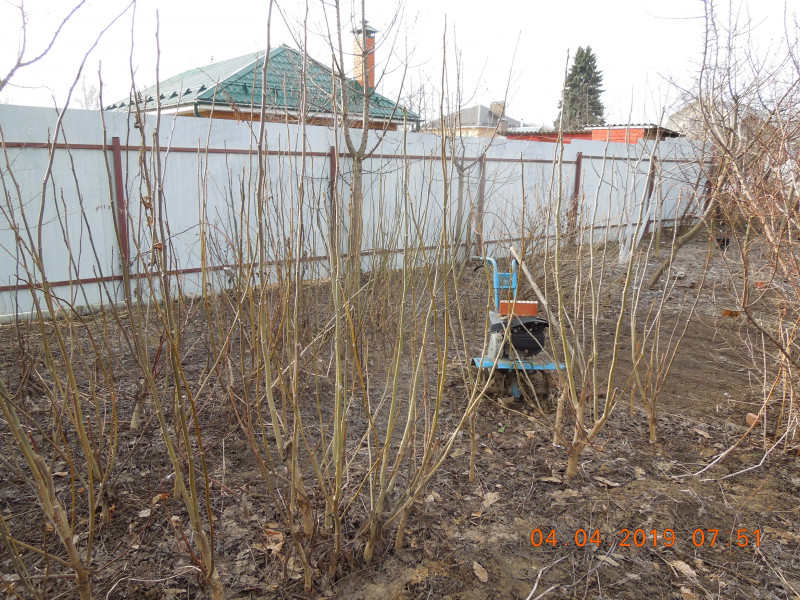 DSCN7475.JPG