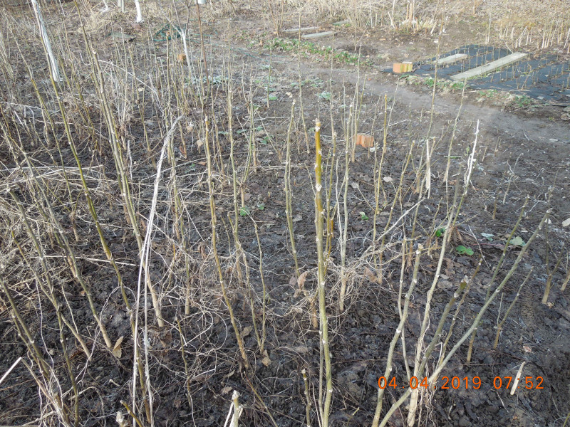 DSCN7476.JPG