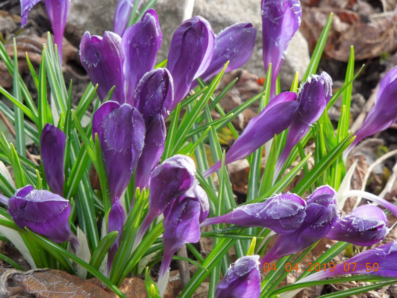 DSCN7473.JPG