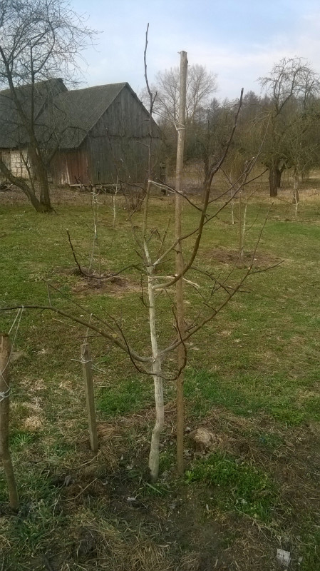 WP_20190407_004.jpg