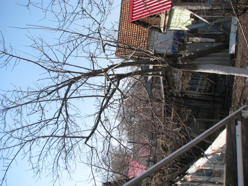 IMG_2072.JPG