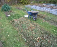 IMG_5554.JPG