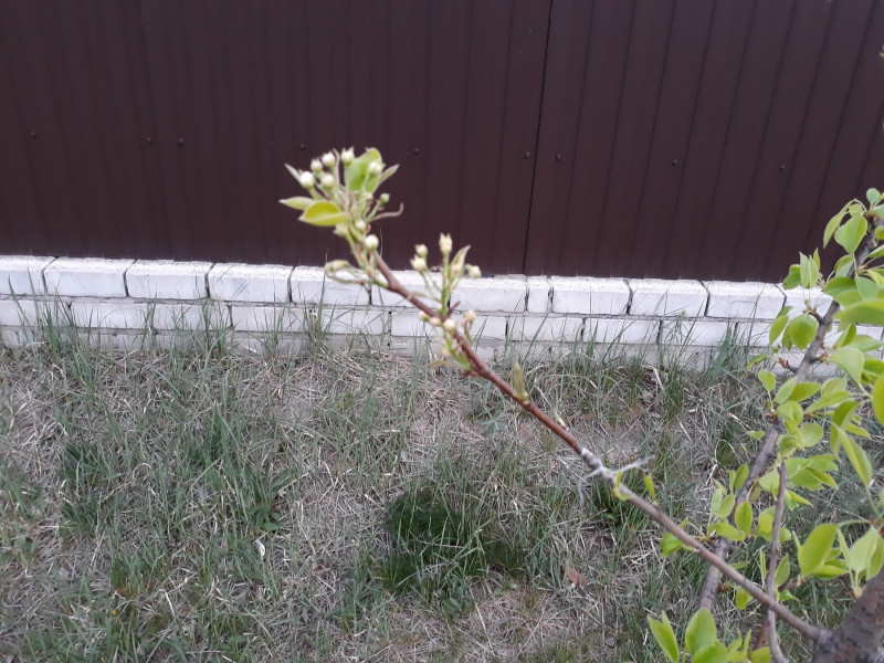 20190428_052710.jpg