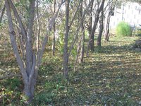 IMG_5569.JPG