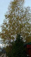 P1020018.JPG
