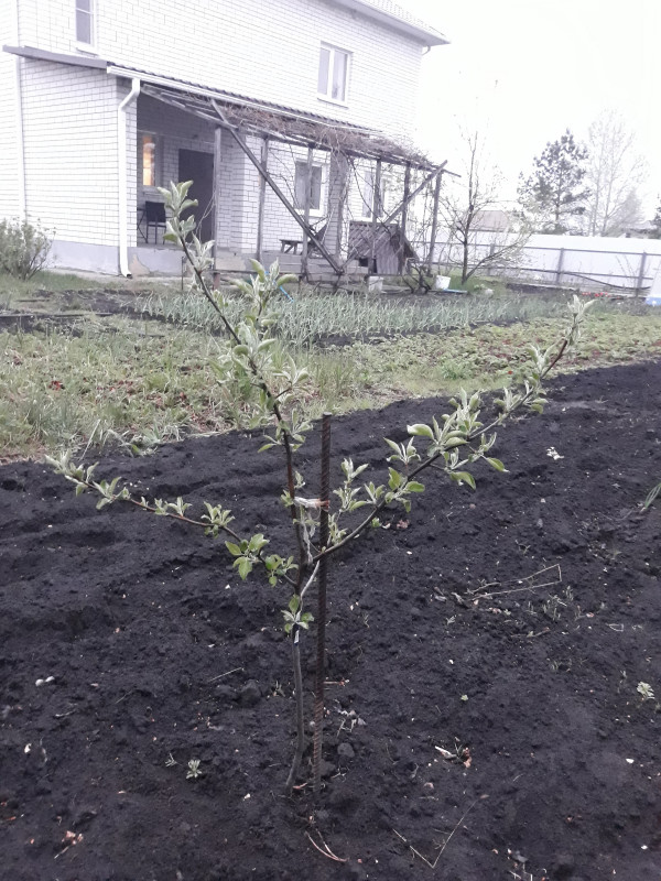 20190501_193201.jpg